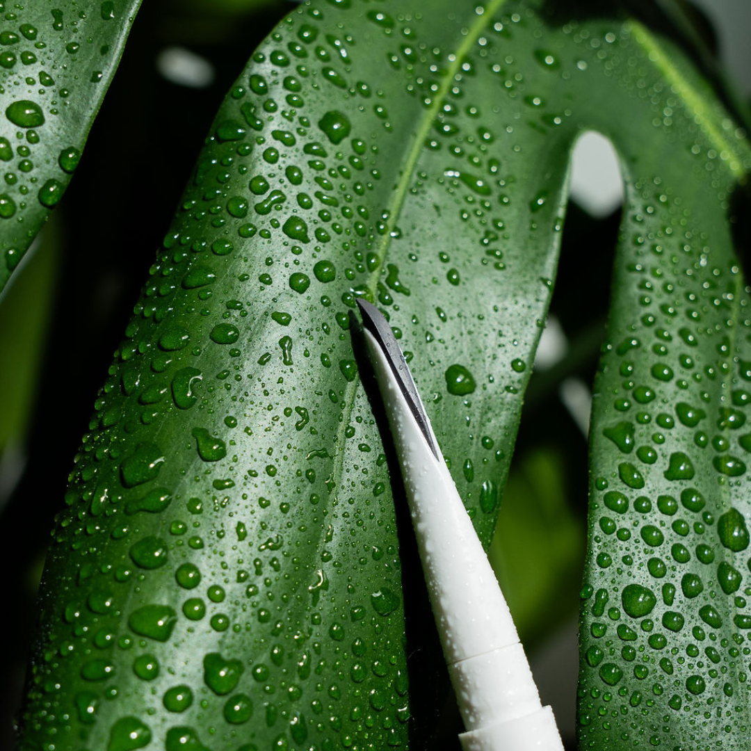 Fluffy and Ombre Brow Creator Kit